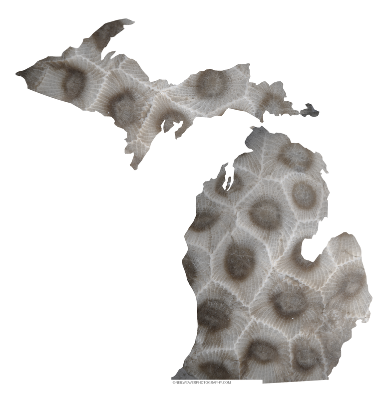 Michigan Sticker - Petoskey Stone