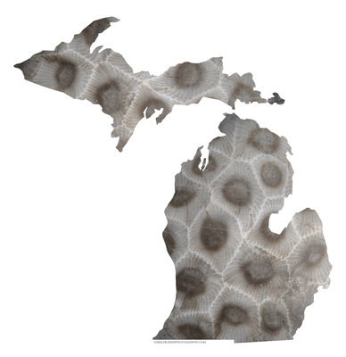 Michigan Sticker - Petoskey Stone