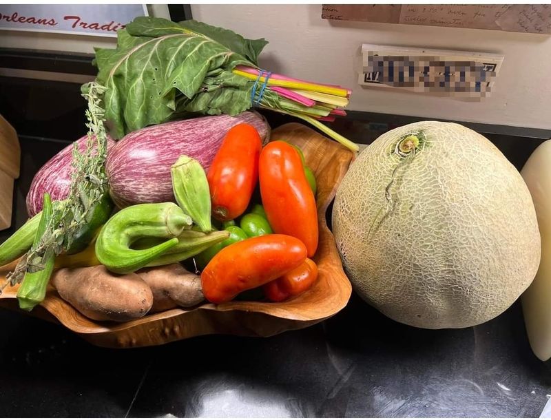 Get your produce bags for the month of Nov 2026