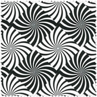 Avlyn Black &amp; White
