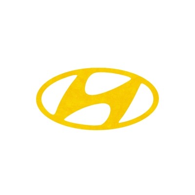 Hyundai Suspension & Coilovers