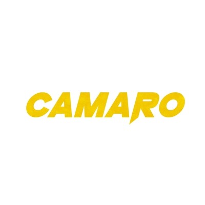 Camaro Coilovers & Suspension
