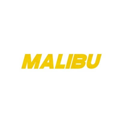 Chevy Malibu Coilovers & Suspension
