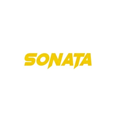 Sonata Suspension/Coilovers