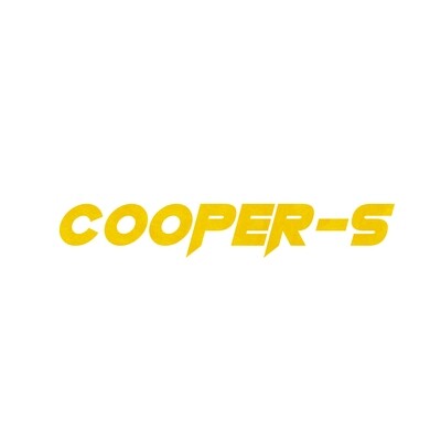 Mini-Cooper S ISC Suspension 2007+
