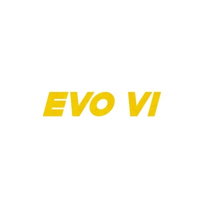 Evo VI Coilovers/Suspension