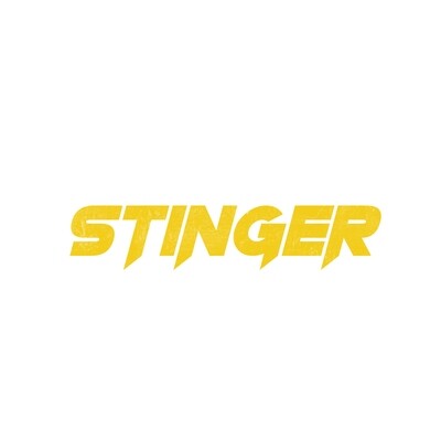 Stinger Suspension/Coilovers