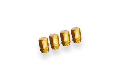 Titanium Valve Stem Cap GOLD