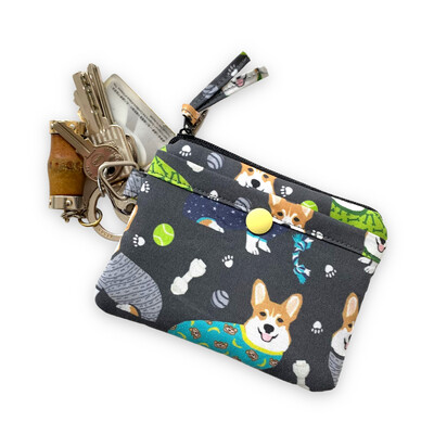 Coins Bag