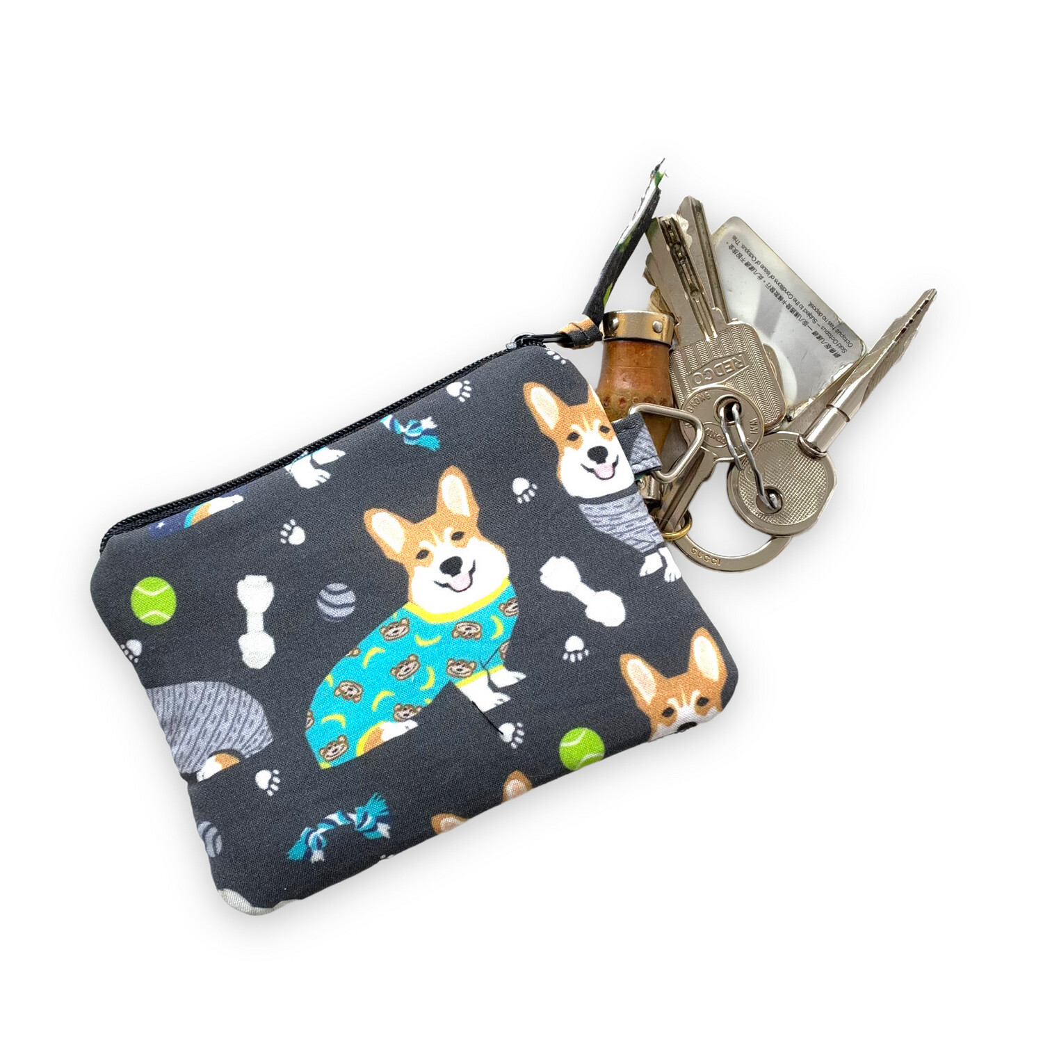 Coins Bag