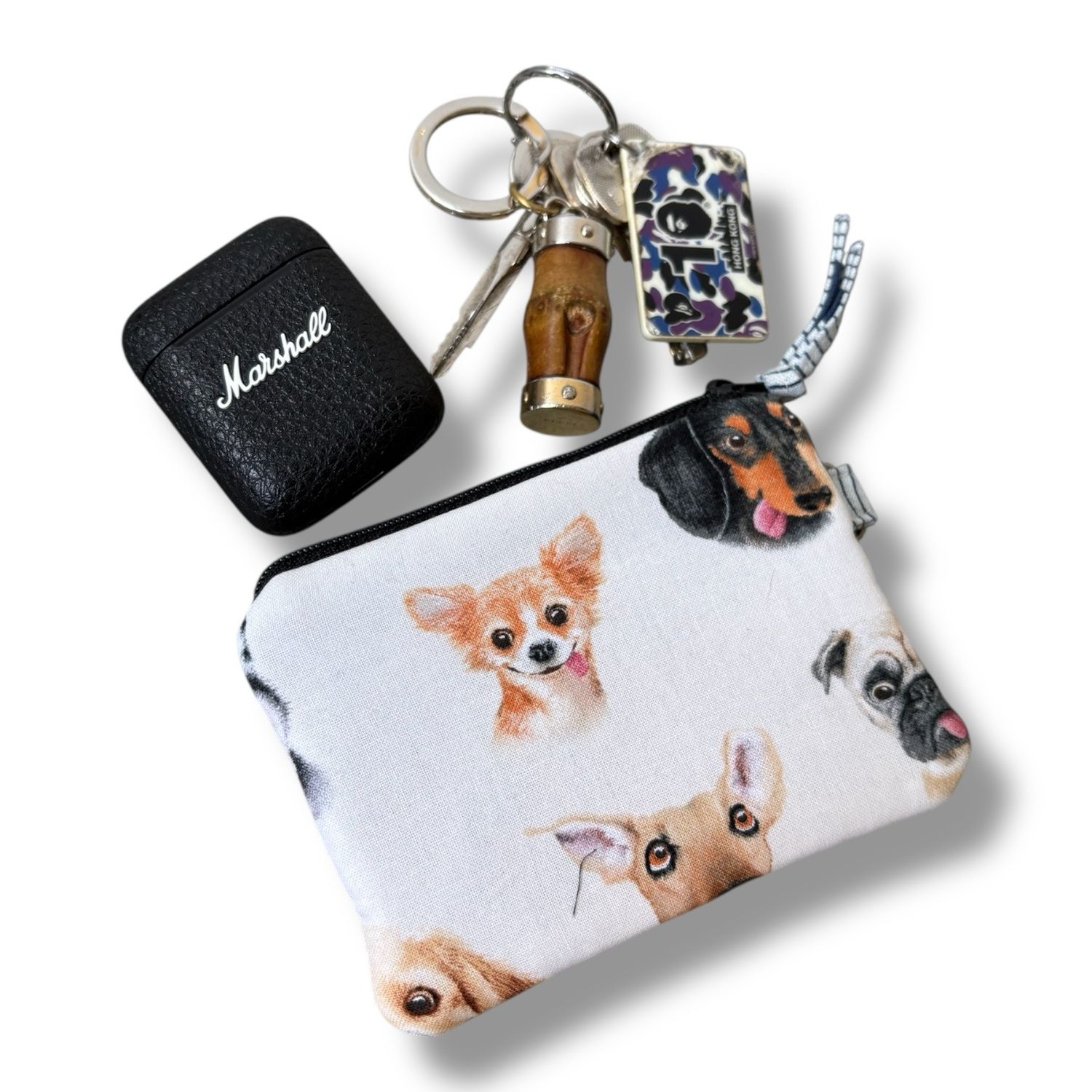 Coins Bag