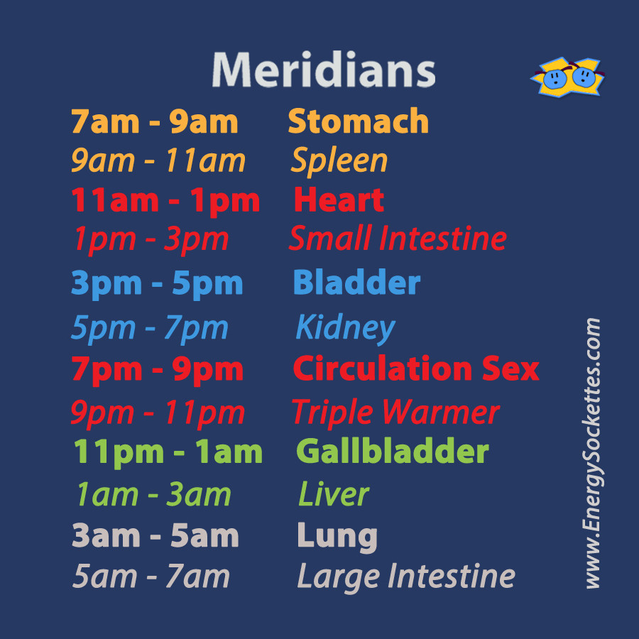 Meridians Magnet (10 pack)