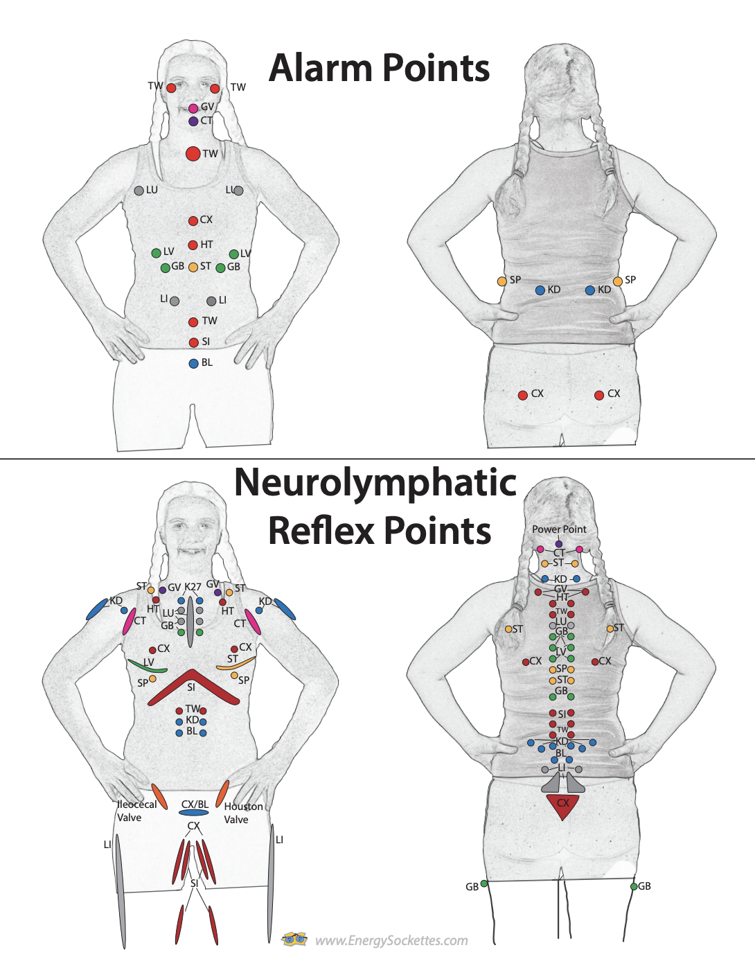 Alarm Points and Neurolymphatic Points Chart
