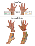 Pulse Test and Source Point Chart