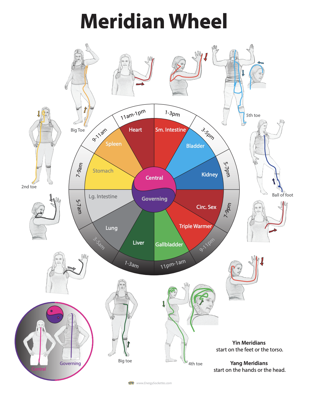 Meridian Wheel Chart