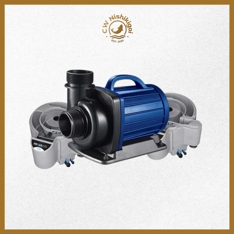 Filtration and Pumps