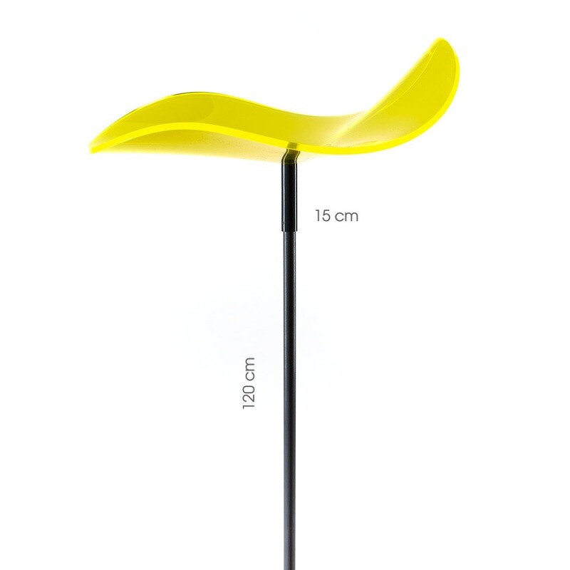 LUCY MEDIO lemon