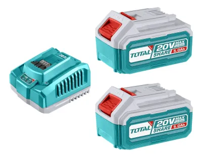 Set 20v Total, 2 Baterías Litio Ion 5.0ah + Cargador Rápido 4a - Línea P20s