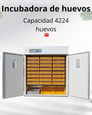 Incubadora Automática 4224 Huevos De Gallina