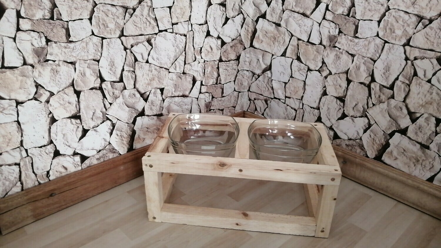 Cat and Dog Feeding Station . Mosi (Firstborn)