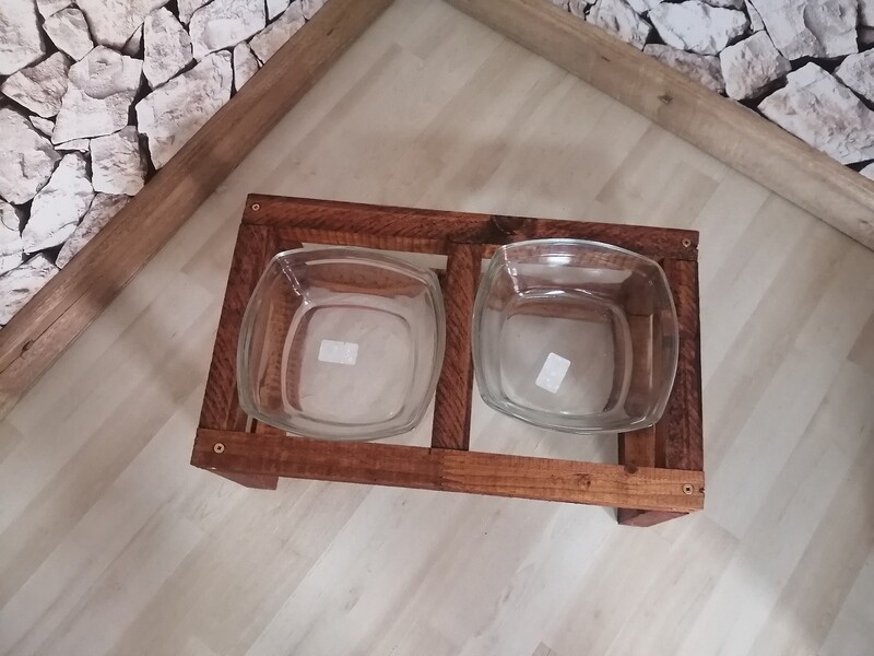 Cat and Dog Feeding Station. Kali (Energetic)