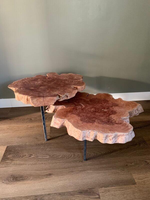 Salontafel Lycheehout