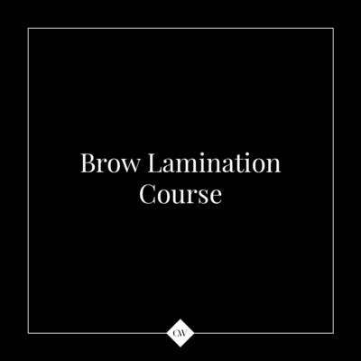 1-day Brow Lamination Course