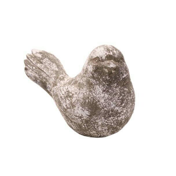 Modern Grey bird