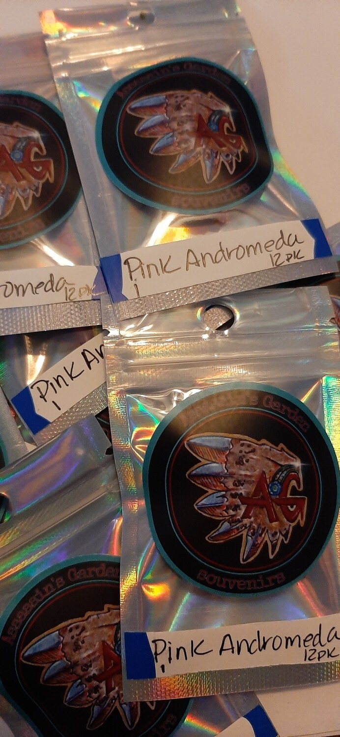 Pink Andromeda