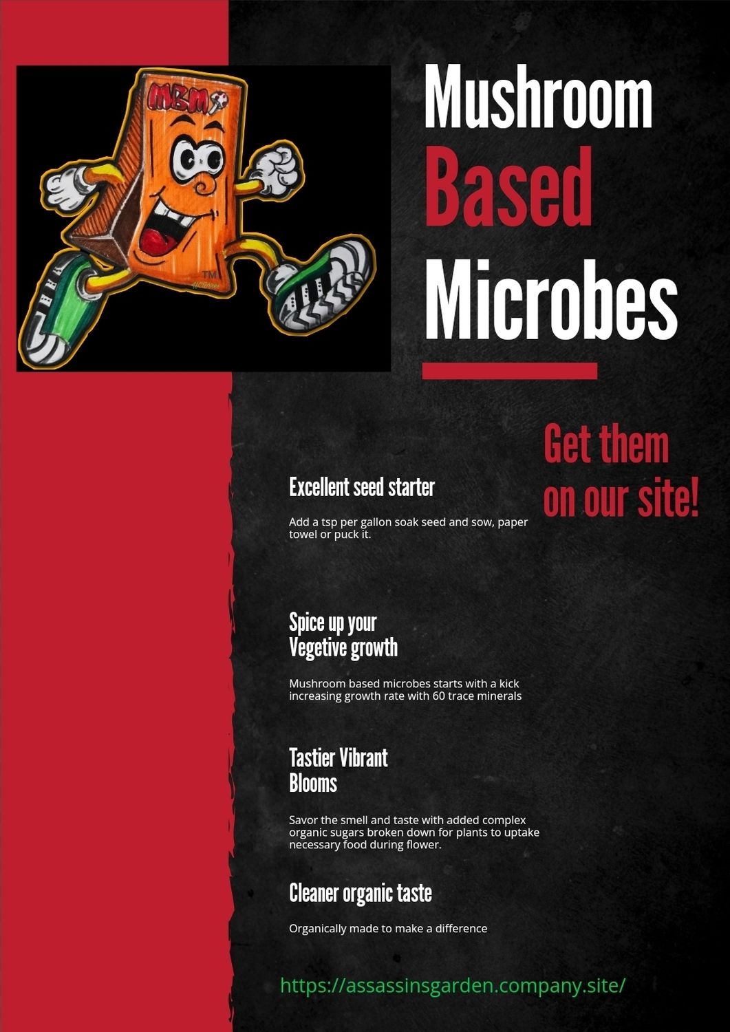 Mushroom based microbe brew