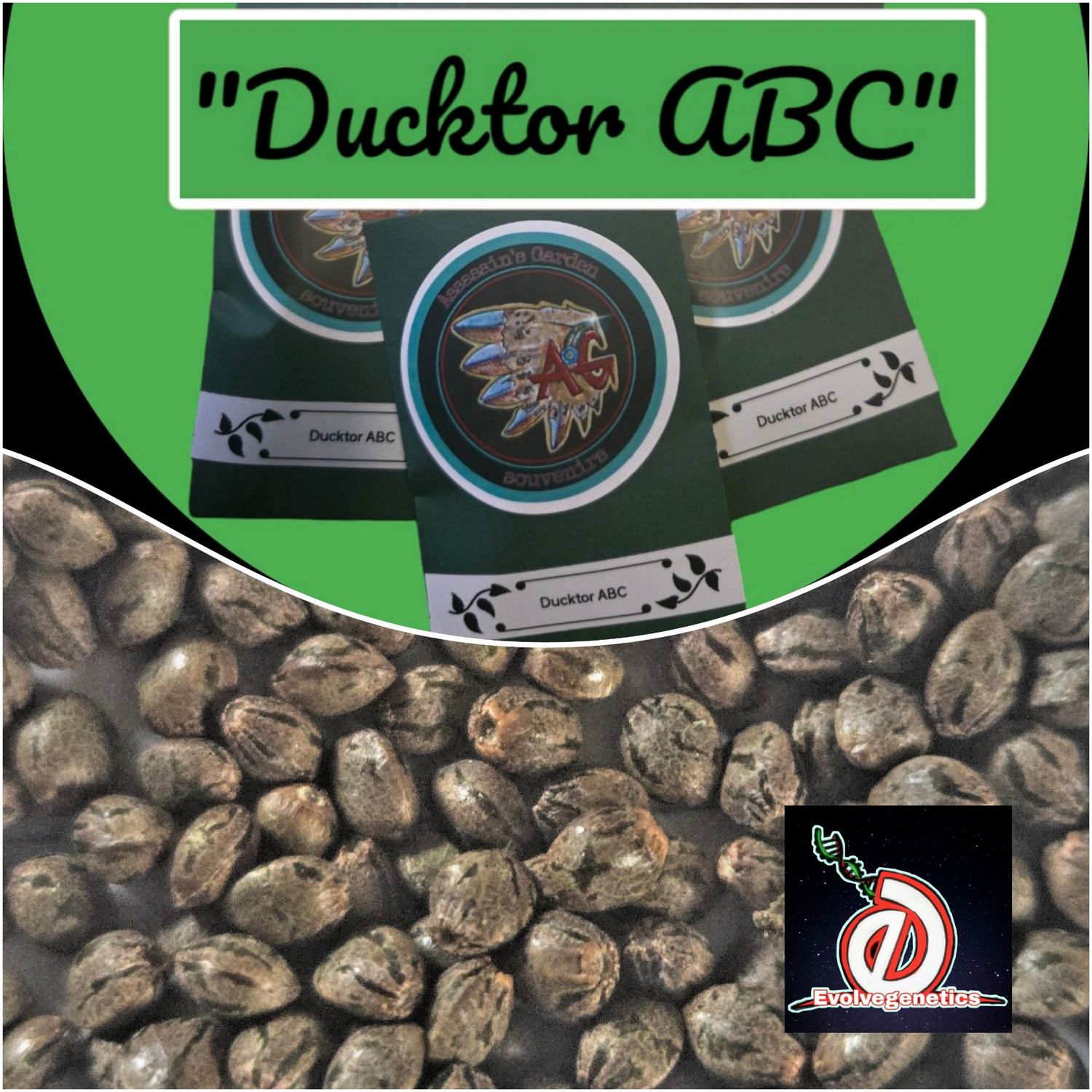 Ducktor ABC