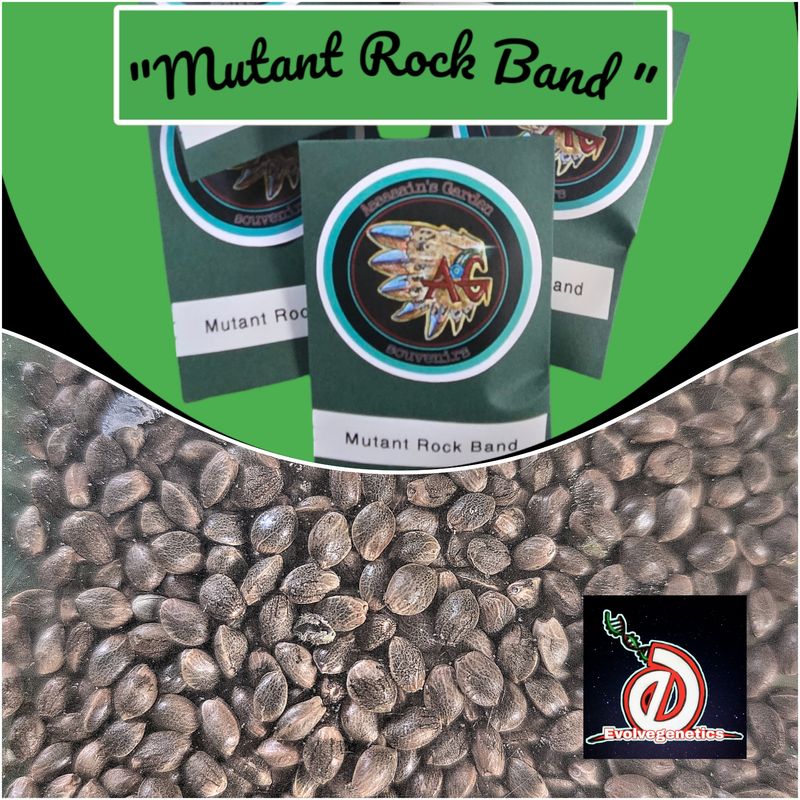 Mutant Rock Band