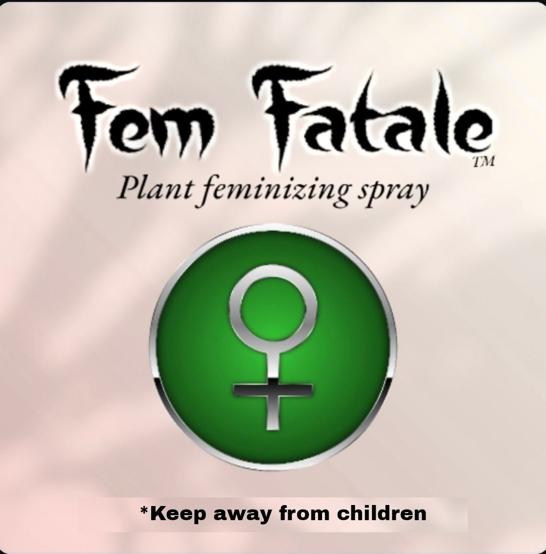 Fem Fatale tm