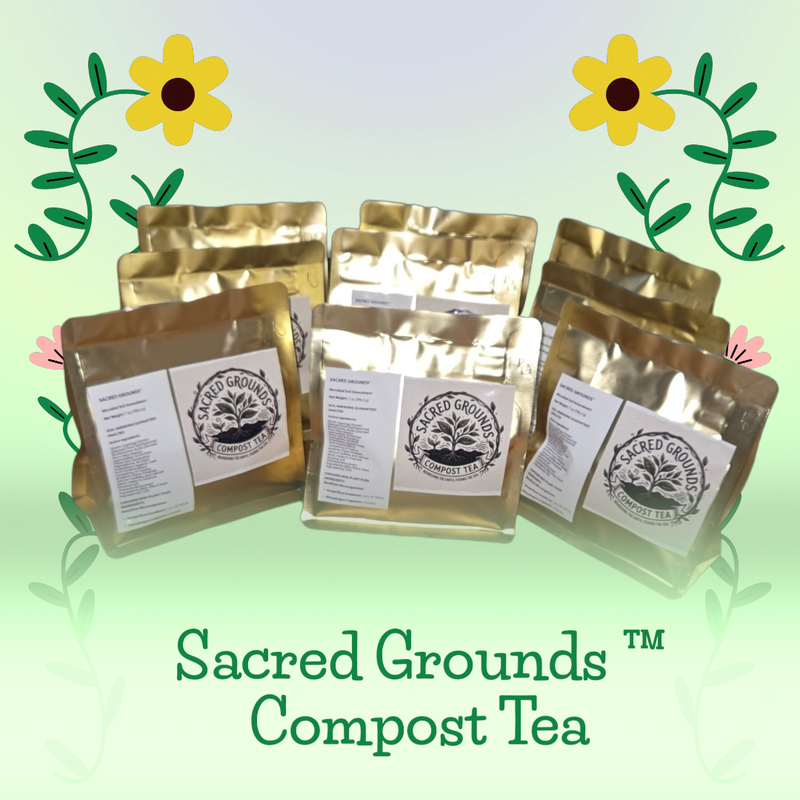 Sacred Grounds ™️ 