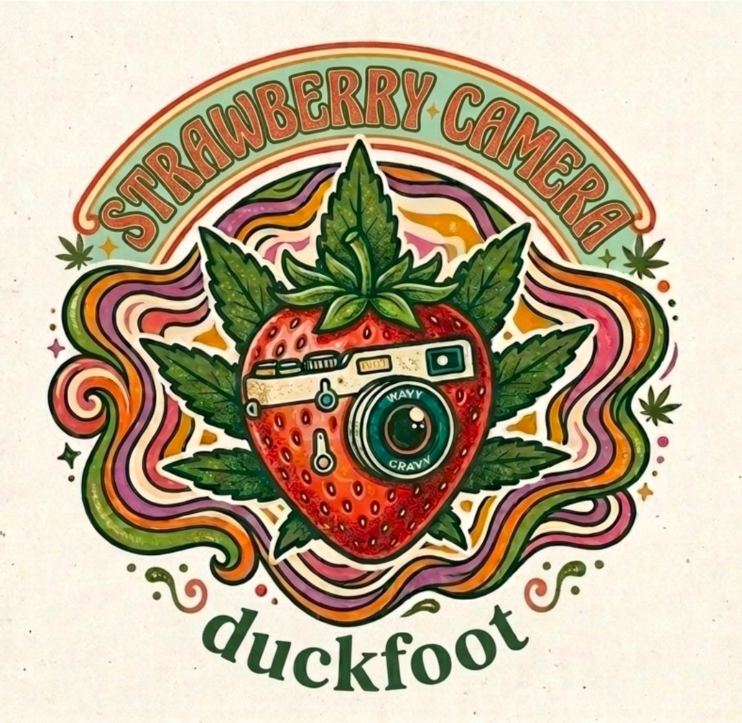 Strawberry Camera 
