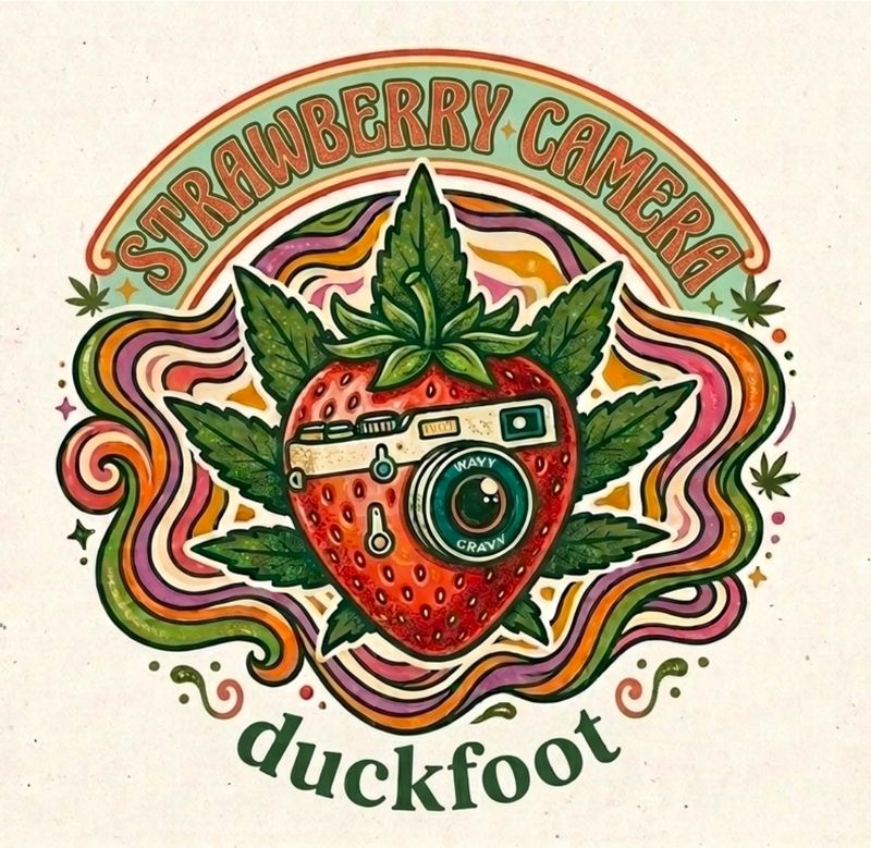 Strawberry Camera 