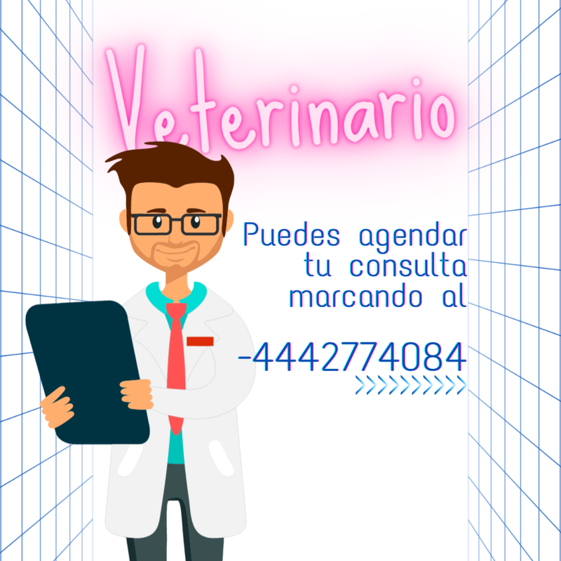 CONSULTA VETERINARIA