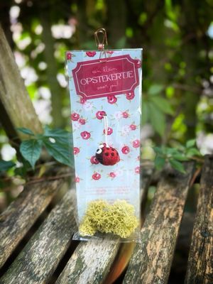 🐞 “Een opstekertje voor jou”- Blijmaker