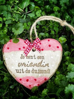 ❤️ “Vriendin uit de duizend!”- spreuk