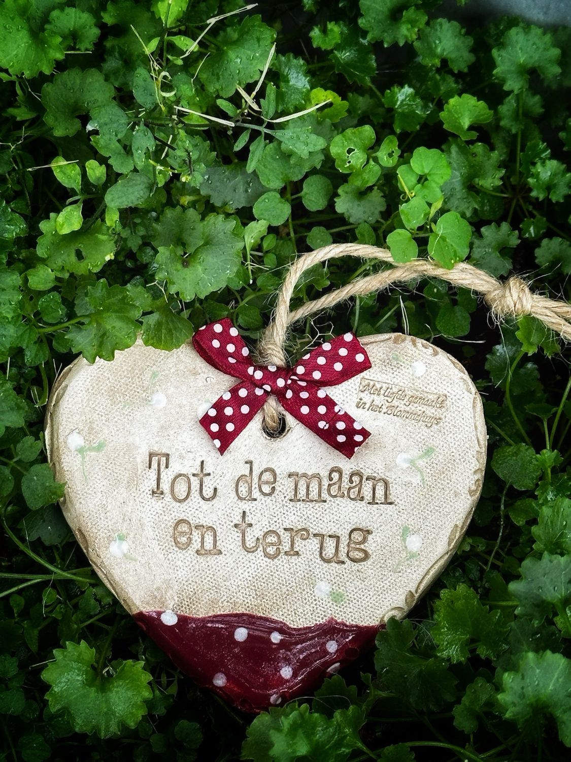 ❤️ “Tot de maan en terug”- spreuk