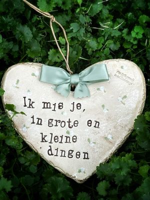 💚 “Ik mis je in grote en kleine dingen”-spreuk