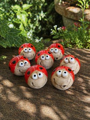 🐞 Geluks-Lieveheersbeestje 🥰