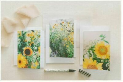 Greeting Cards (Set of 3) Greeting Cards (Set of 3)