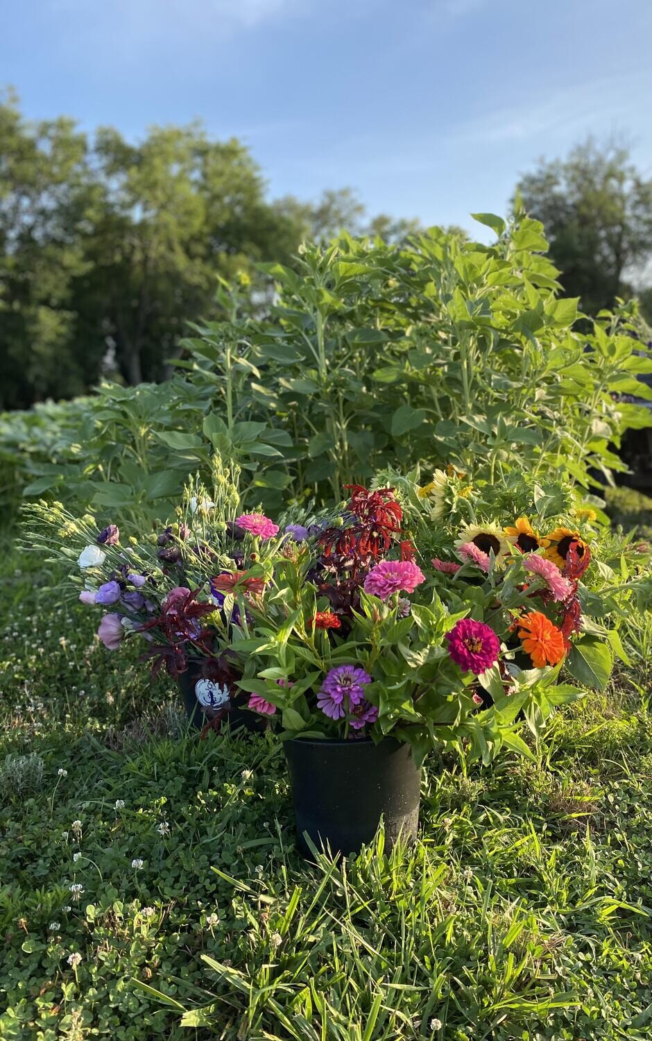 Flowers by the bucket