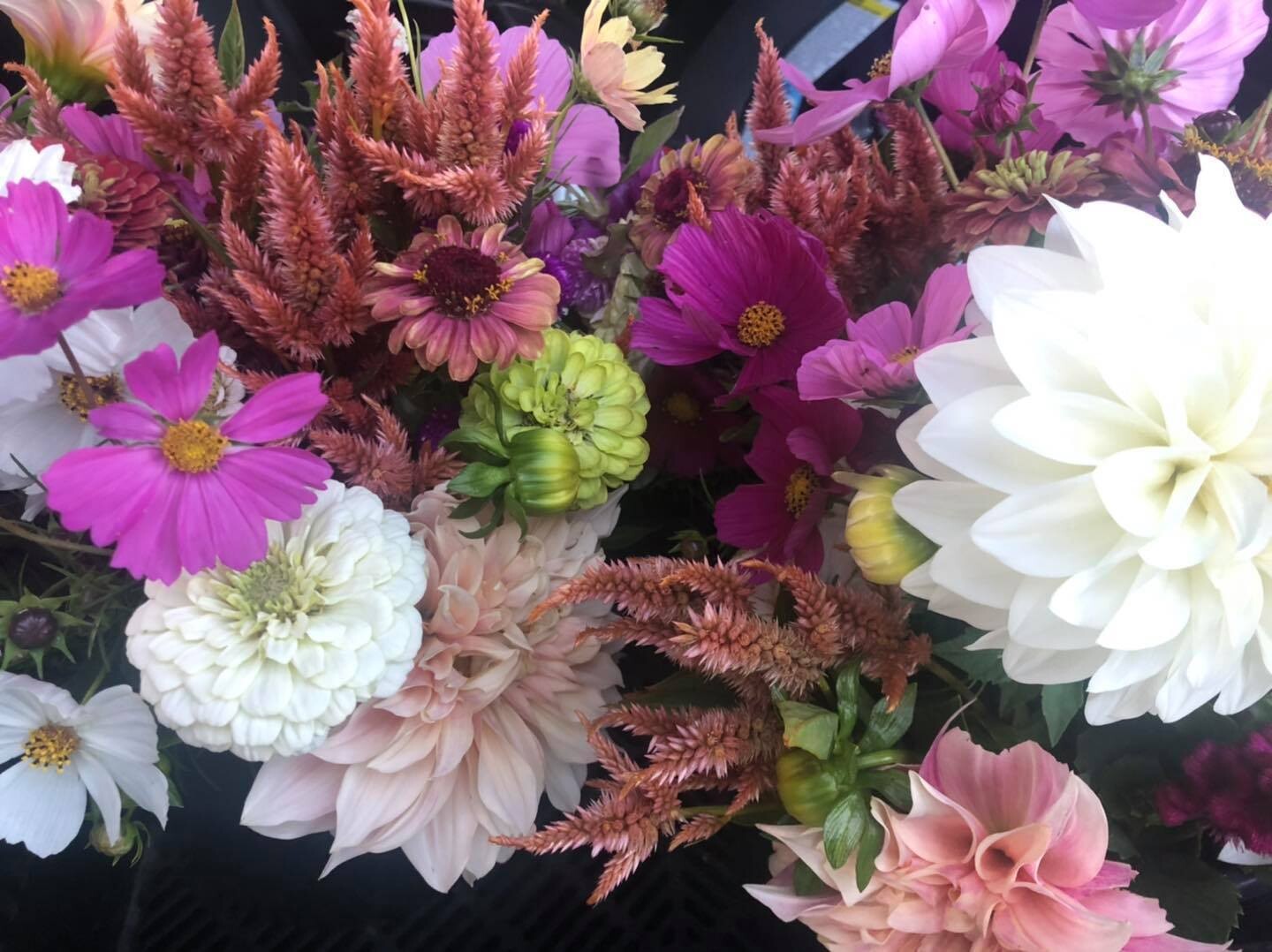 Flowers by the bucket