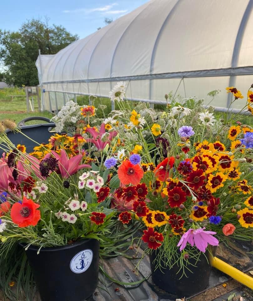 Flowers by the bucket