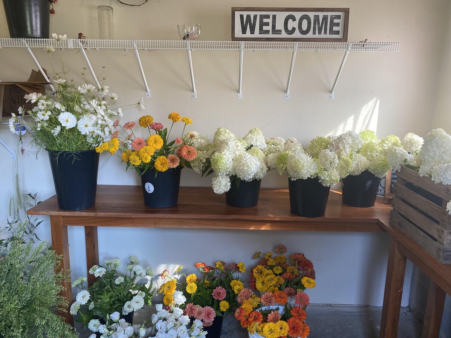 Flowers by the bucket 2026