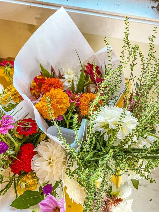 Summer and Fall Flower Bouquet Subscription (CSA), Farm Pickup On Fridays or Saturday