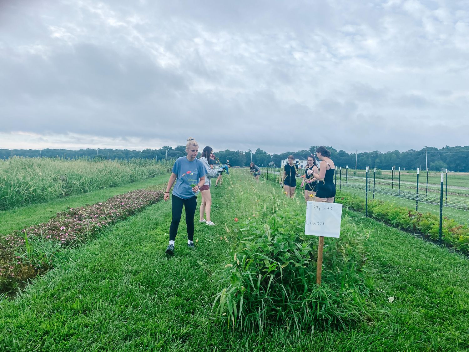 Flower Workshop at Anchored Roots Farm, September 17th and October 8th