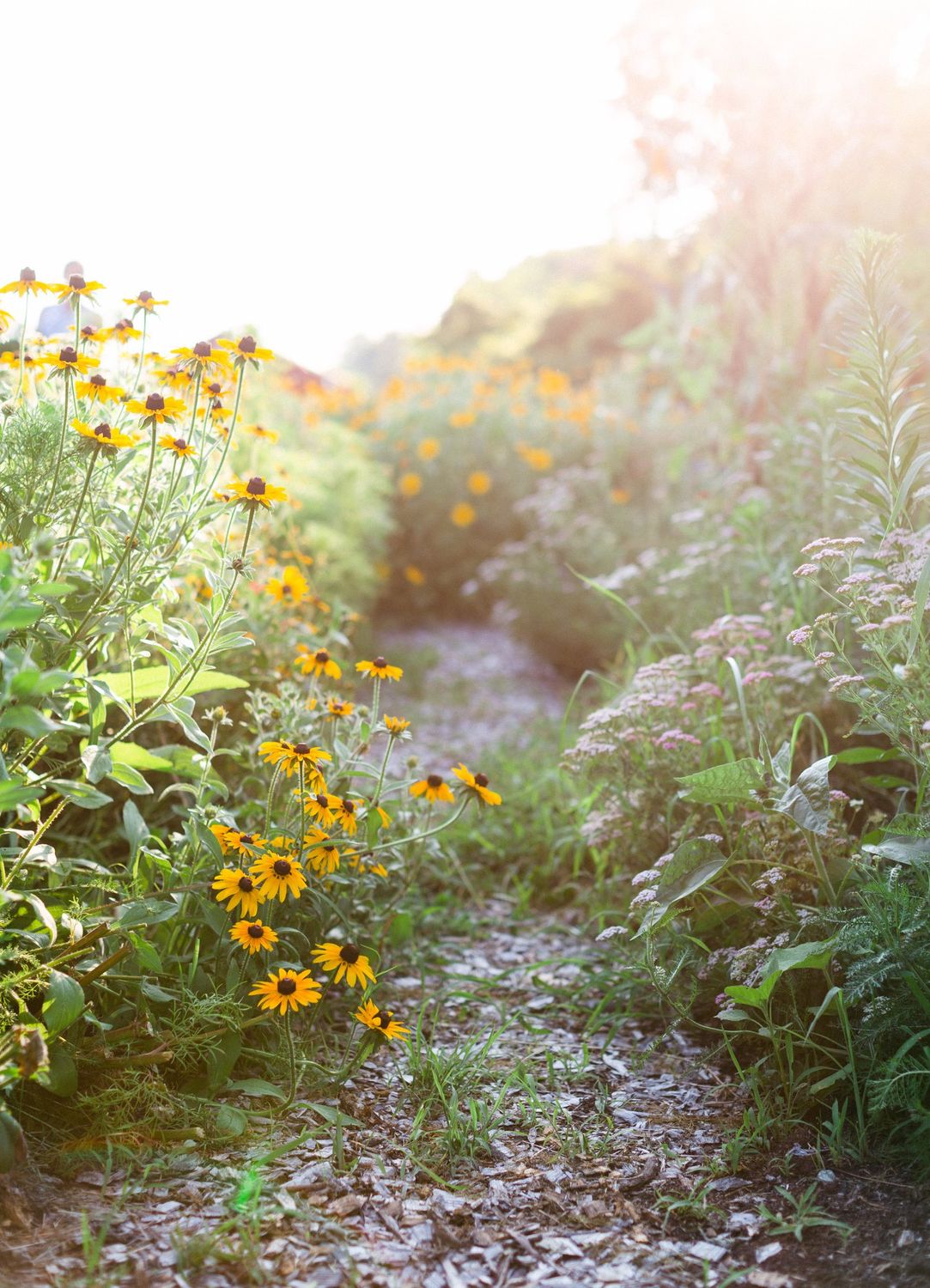 Flower Workshop at Anchored Roots Farm, September 17th and October 8th
